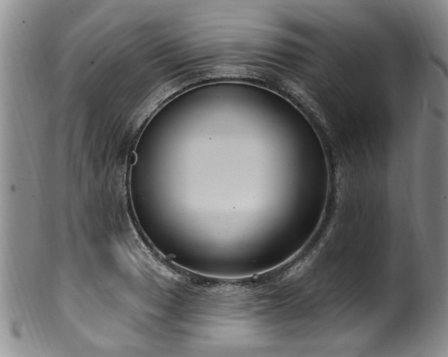 X0000100361033200806061133