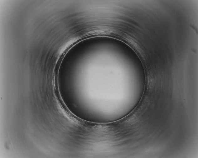 X0000100361034200806061133