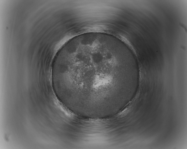 X0000100361035200806061133