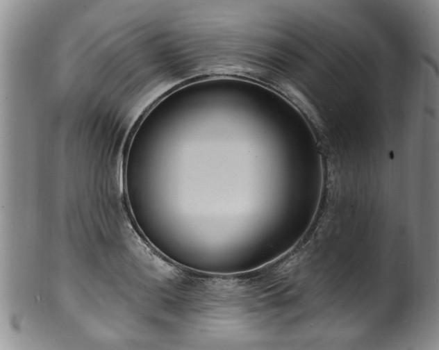 X0000100361036200806061133