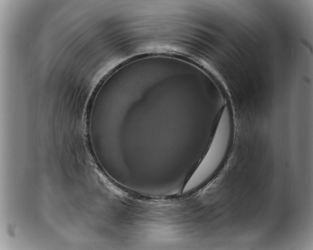 X0000100361037200806061133