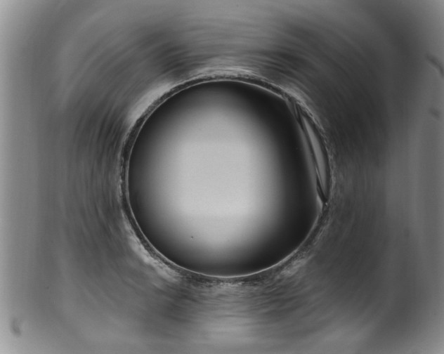 X0000100361038200806061133