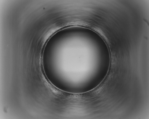 X0000100361040200806061133