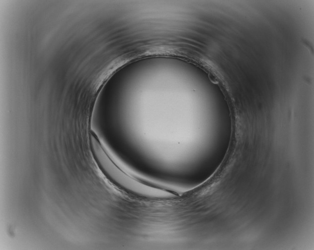 X0000100361041200806061133