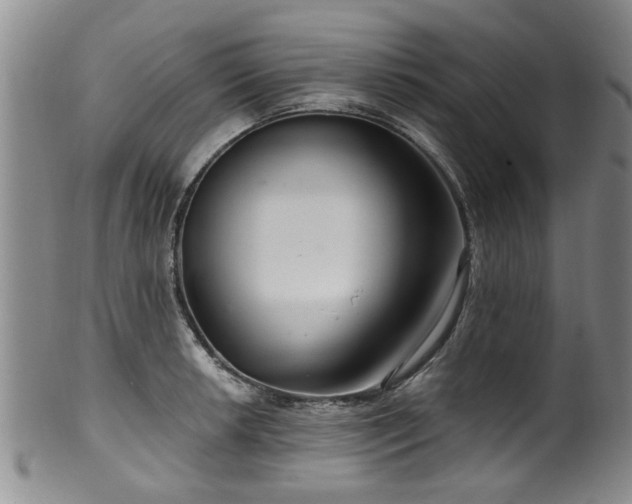 X0000100361042200806061133