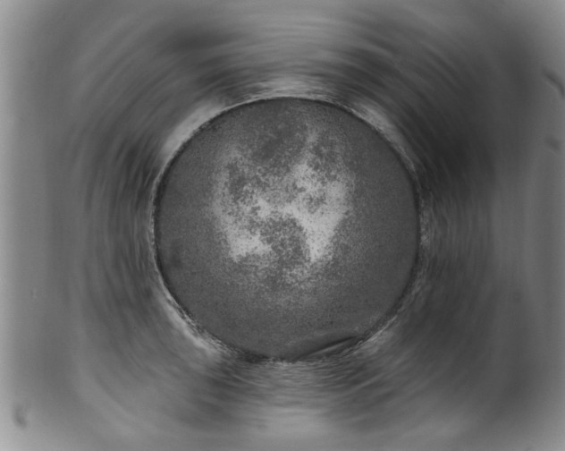 X0000100361043200806061133