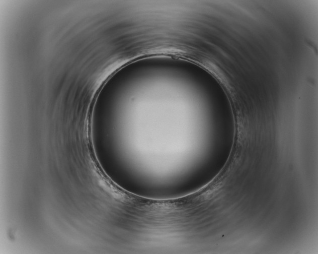 X0000100361044200806061133