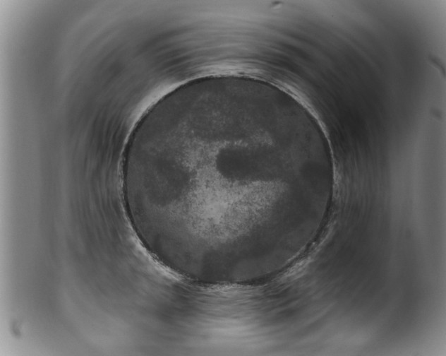 X0000100361045200806061133