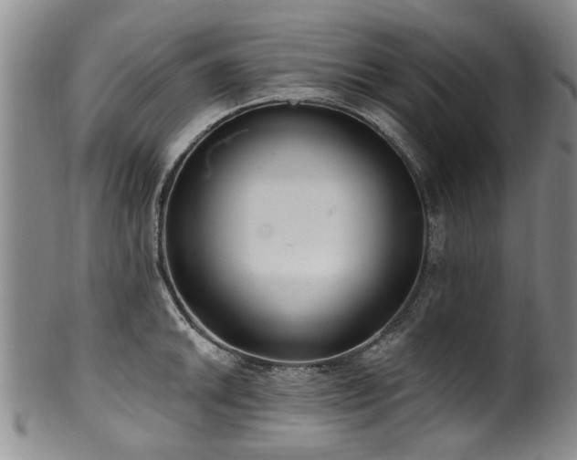 X0000100361046200806061133