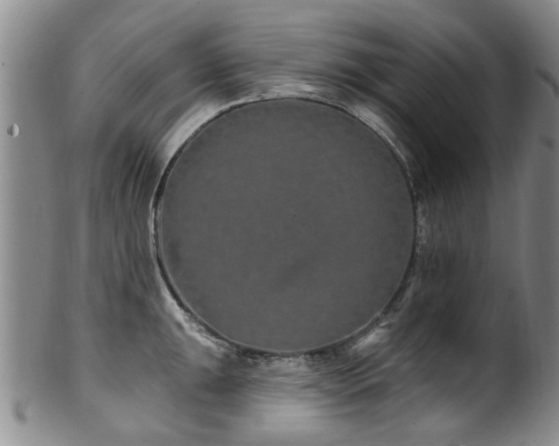 X0000100361047200806061133