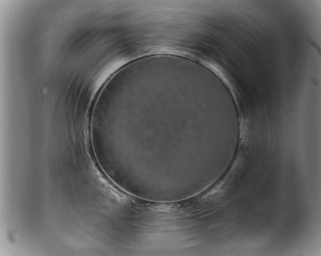 X0000100361048200806061133