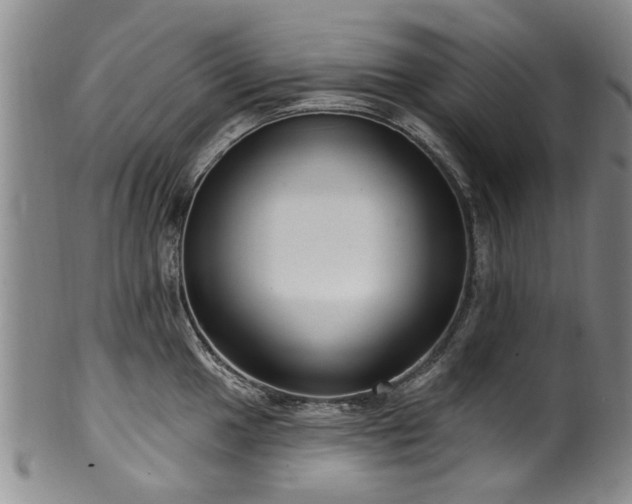 X0000100361049200806061133