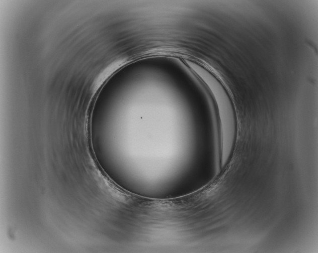 X0000100361050200806061133