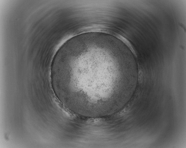 X0000100361051200806061133