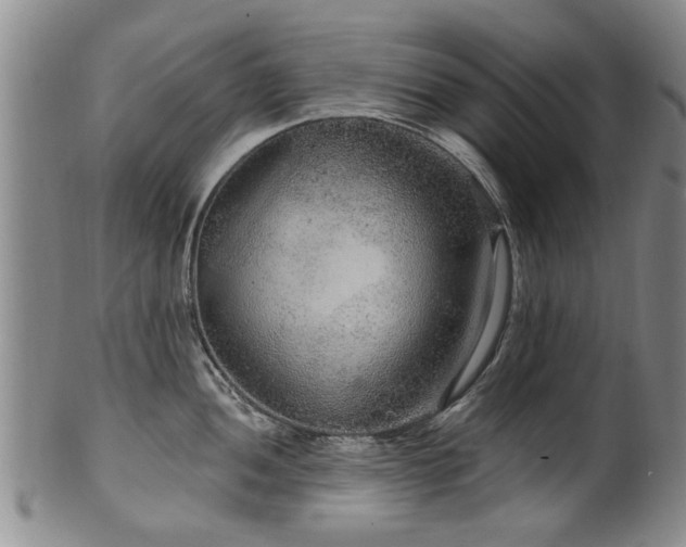X0000100361052200806061133