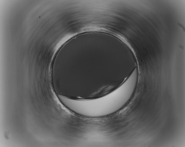 X0000100361053200806061133