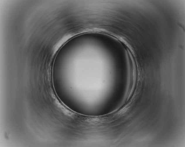 X0000100361054200806061133