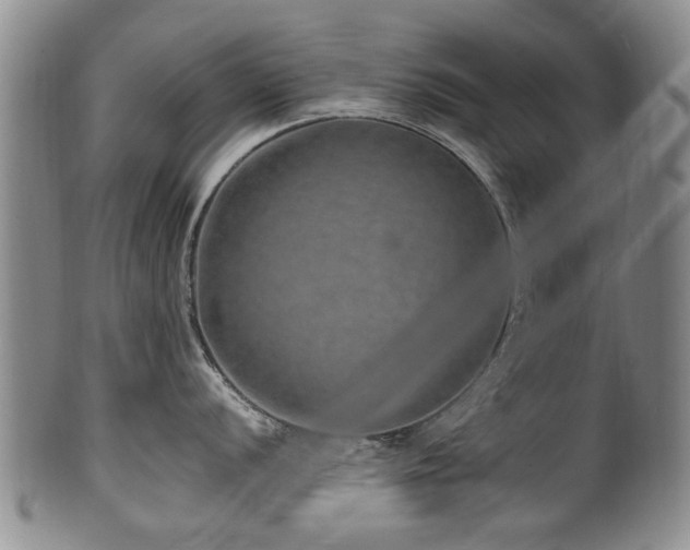 X0000100361056200806061133