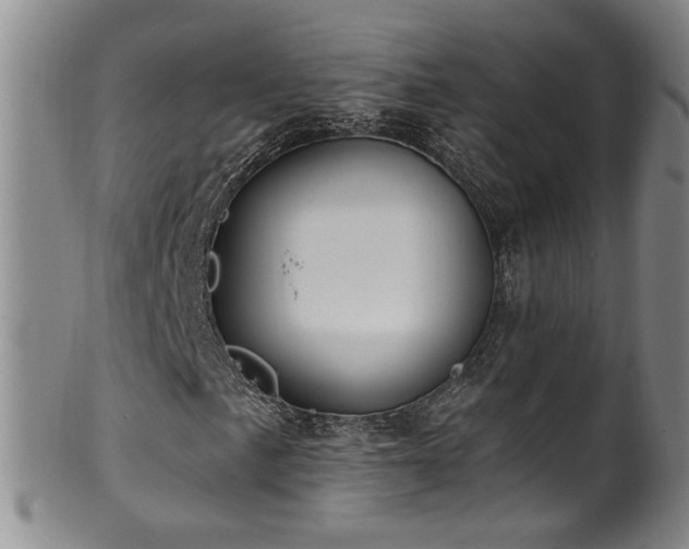X0000100361057200806061133