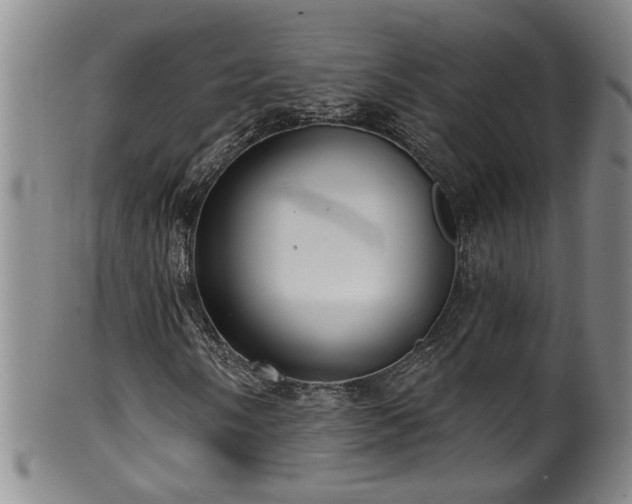 X0000100361058200806061133