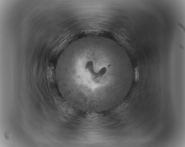X0000100361059200806061133