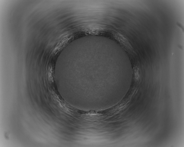 X0000100361060200806061133