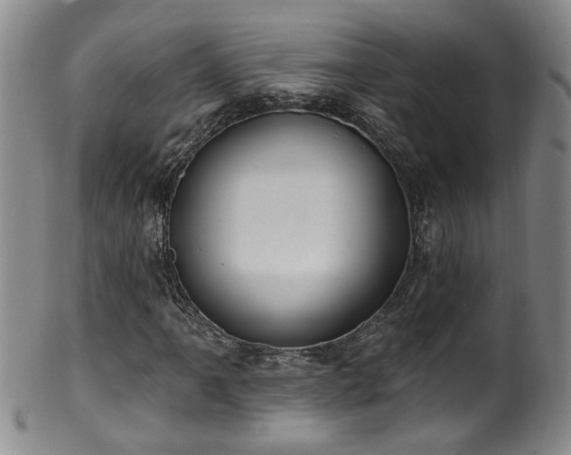 X0000100361061200806061133