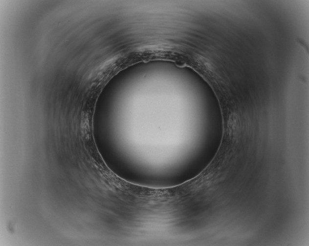X0000100361062200806061133