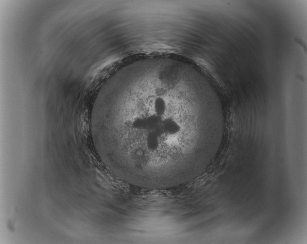 X0000100361063200806061133