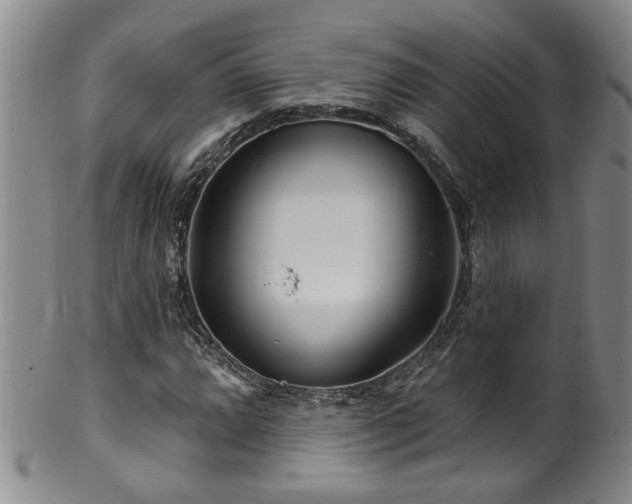 X0000100361064200806061133