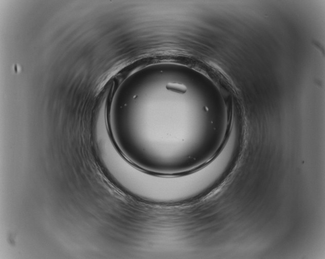X0000100361065200806061133