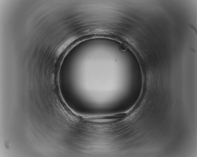 X0000100361066200806061133