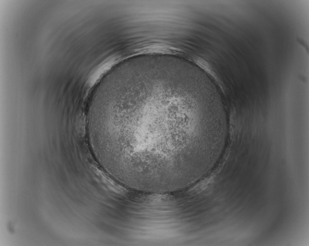 X0000100361067200806061133