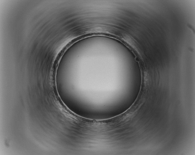 X0000100361068200806061133