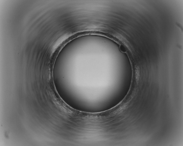 X0000100361069200806061133