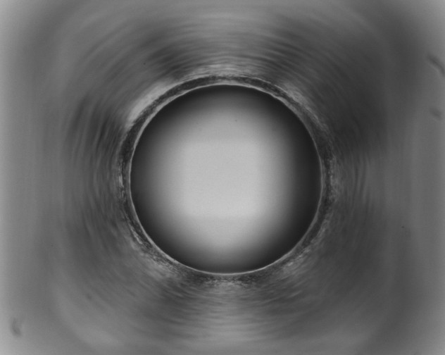 X0000100361070200806061133