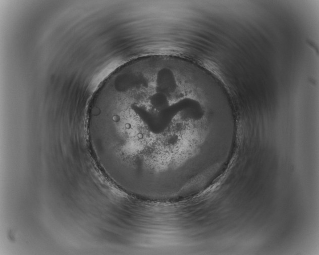 X0000100361071200806061133