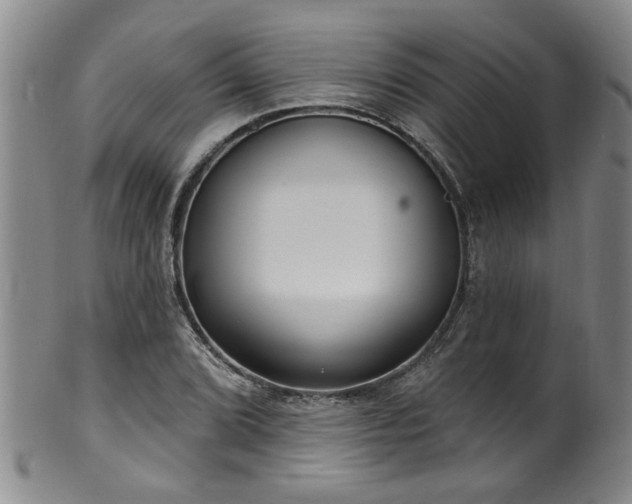 X0000100361072200806061133