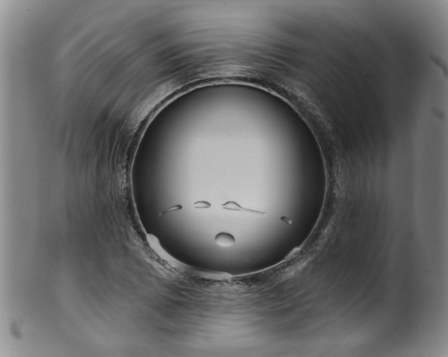 X0000100361073200806061133
