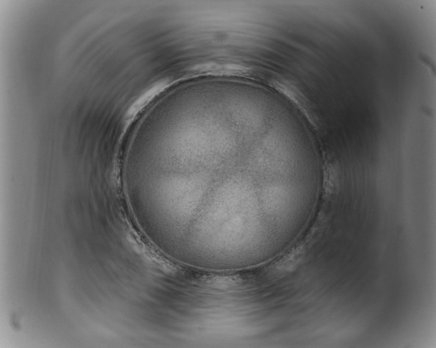 X0000100361074200806061133