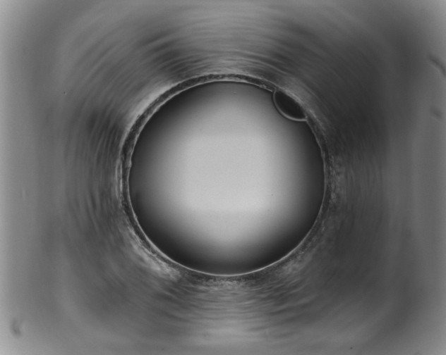 X0000100361076200806061132