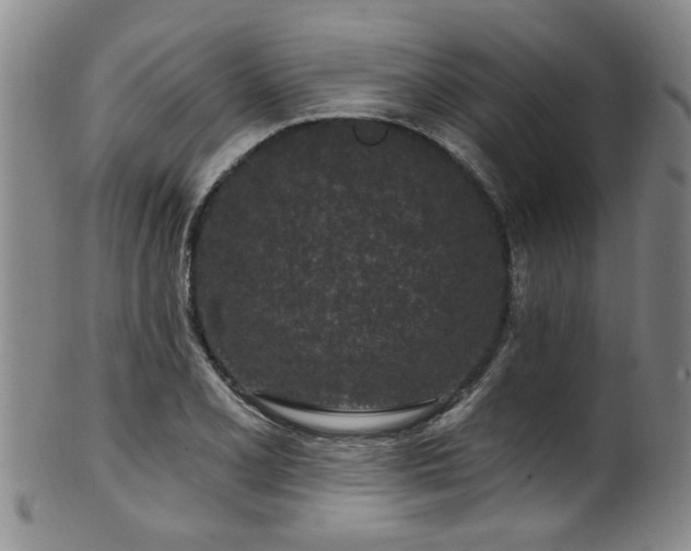 X0000100361077200806061132