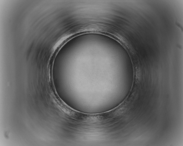 X0000100361078200806061132