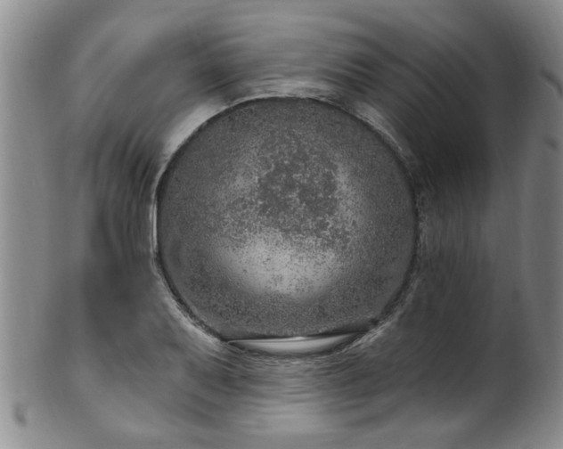 X0000100361079200806061132