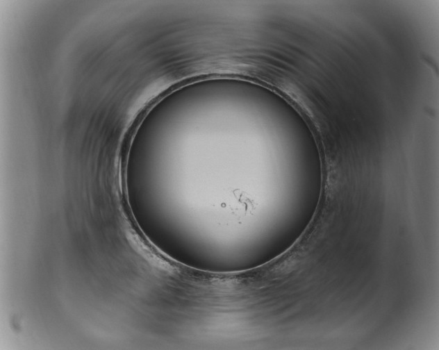 X0000100361080200806061132