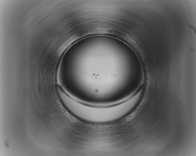 X0000100361081200806061132