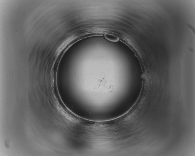 X0000100361082200806061132