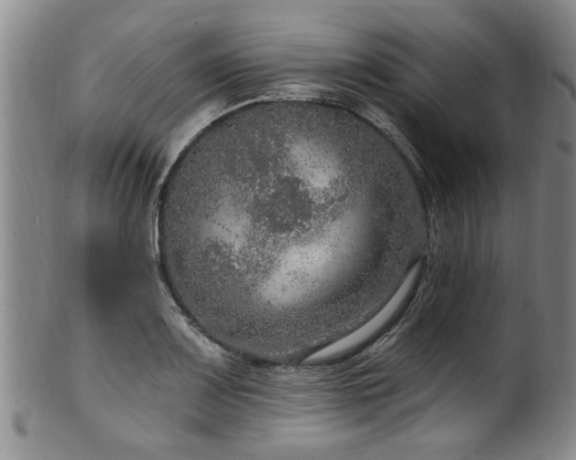 X0000100361083200806061132