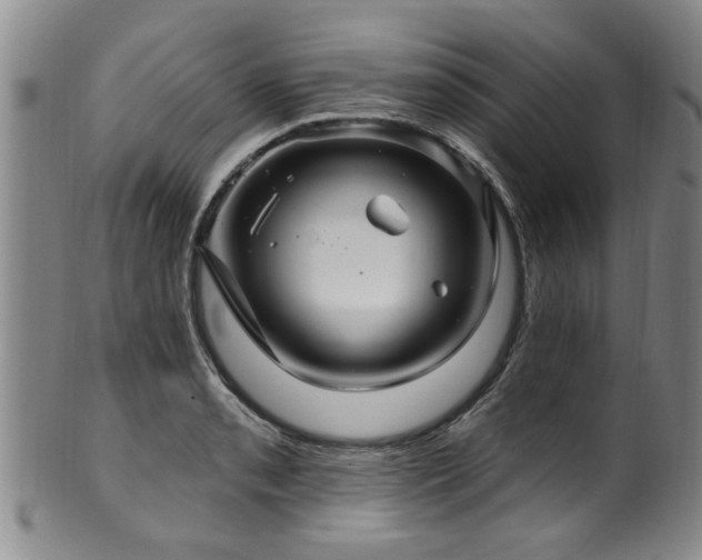 X0000100361085200806061132