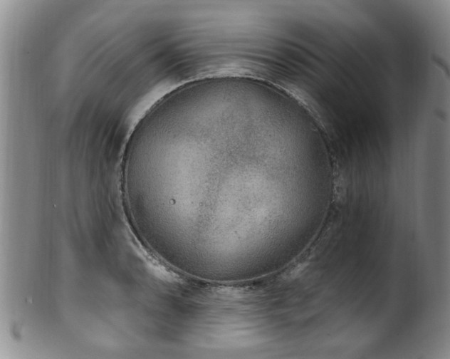 X0000100361086200806061132
